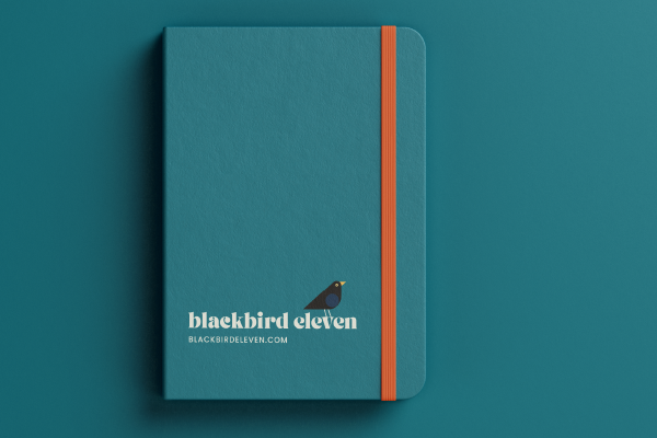 Blackbird eleven-05
