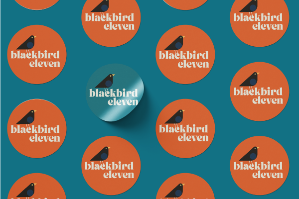Blackbird eleven